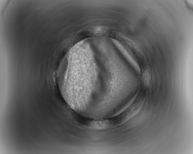 X0000093510571200711021030