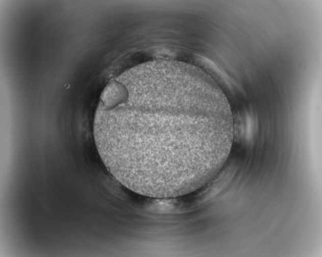 X0000093510573200711021030