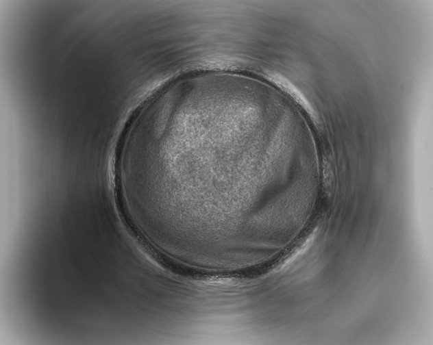 X0000093510581200711021029