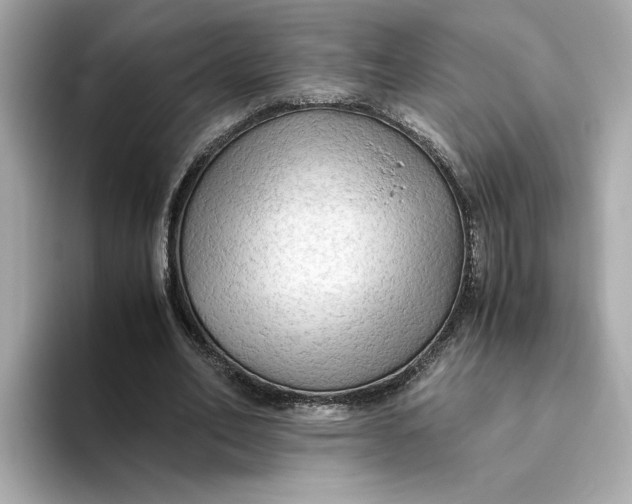 X0000093510582200711021029