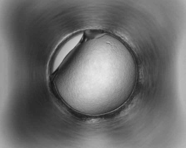 X0000093510584200711021029