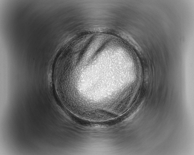 X0000093510585200711021029