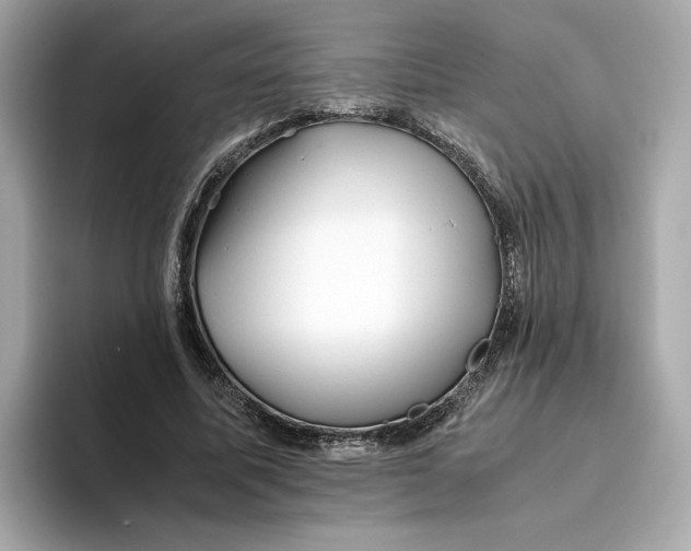 X0000093510587200711021029