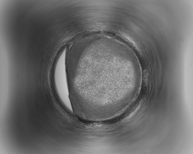 X0000093510589200711021029