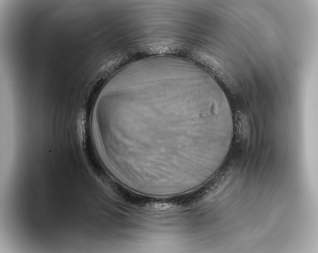 X0000093510590200711021029