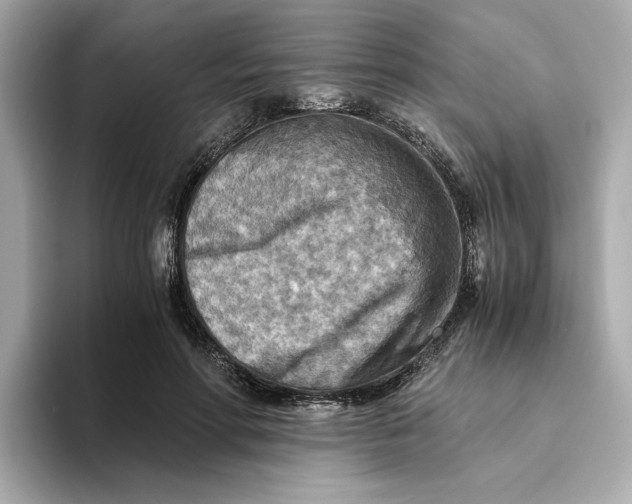 X0000093510598200711021029