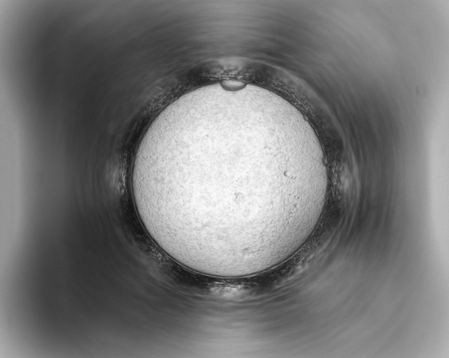 X0000093510602200711021029