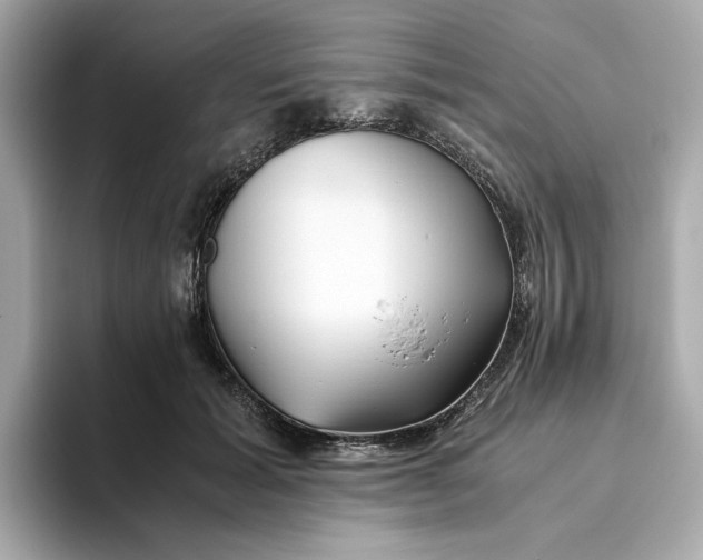 X0000093510605200711021029