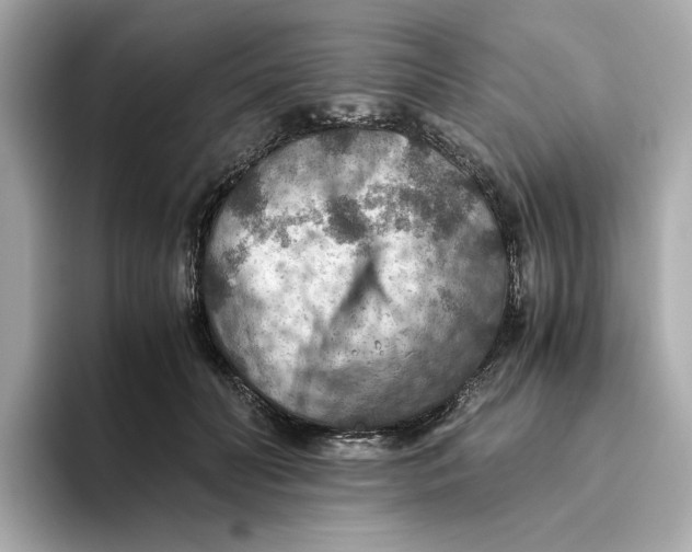 X0000093510606200711021029