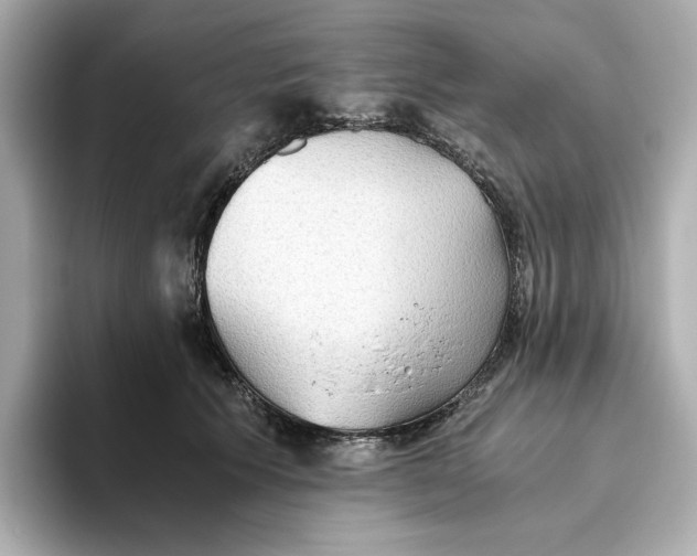 X0000093510609200711021029