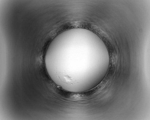 X0000093510611200711021029