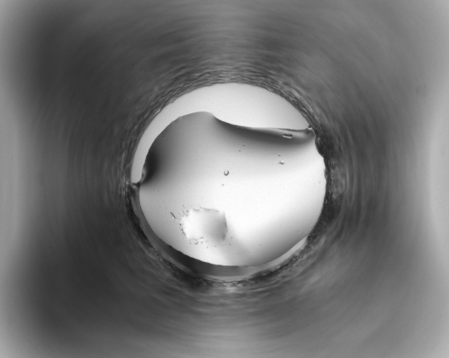 X0000093510613200711021029