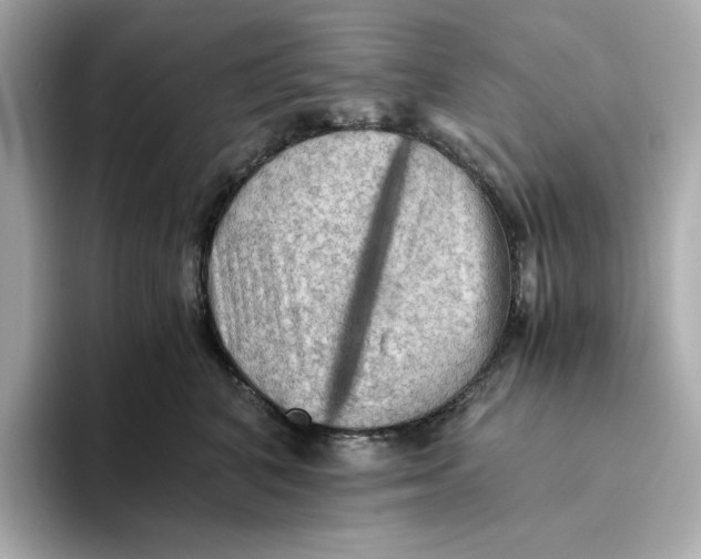 X0000093510616200711021029