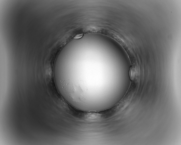 X0000093510617200711021029