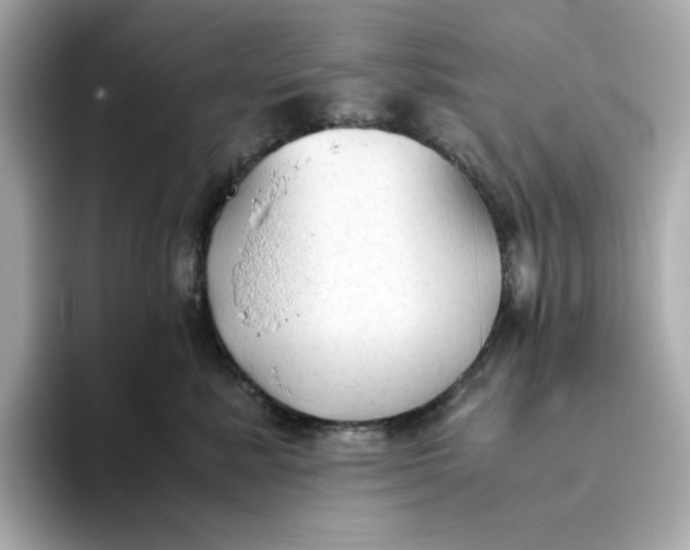 X0000093510619200711021029