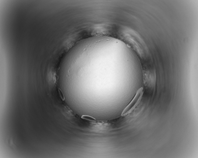 X0000093510621200711021029