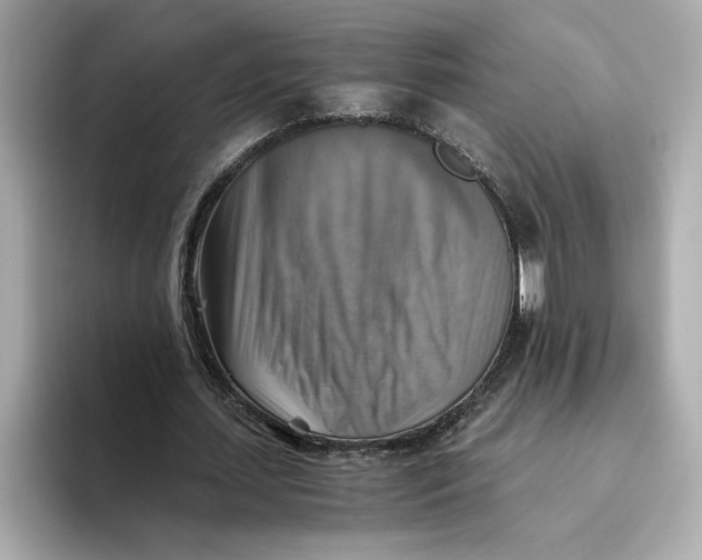 X0000093510627200711021028