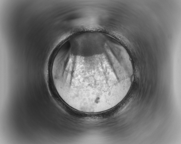 X0000093510630200711021028