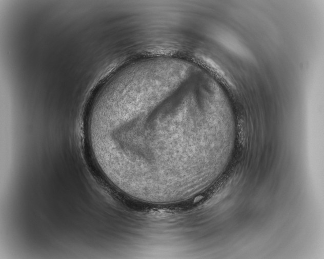 X0000093510634200711021028