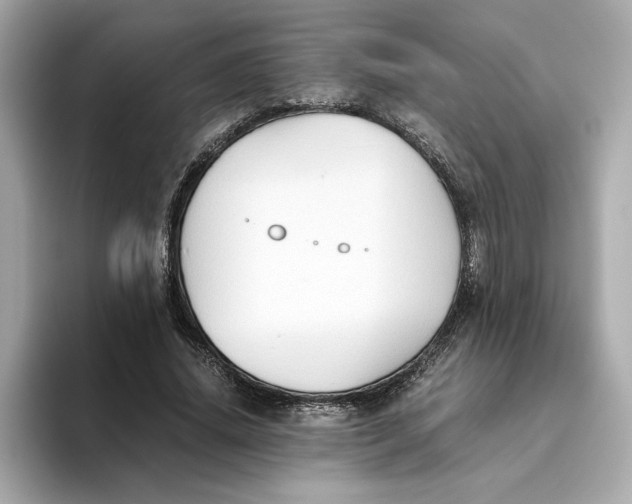 X0000093510636200711021028