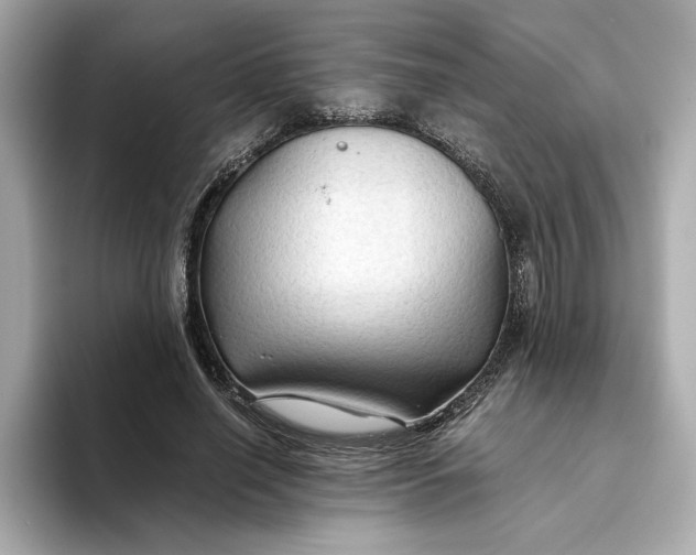 X0000093510638200711021028