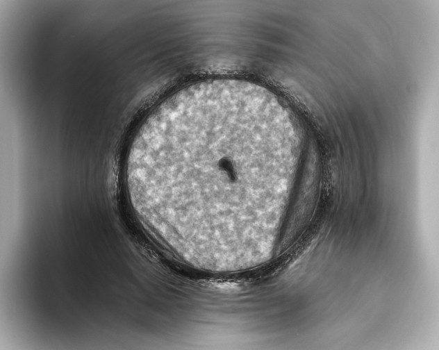 X0000093510640200711021028