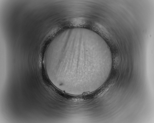 X0000093510644200711021028