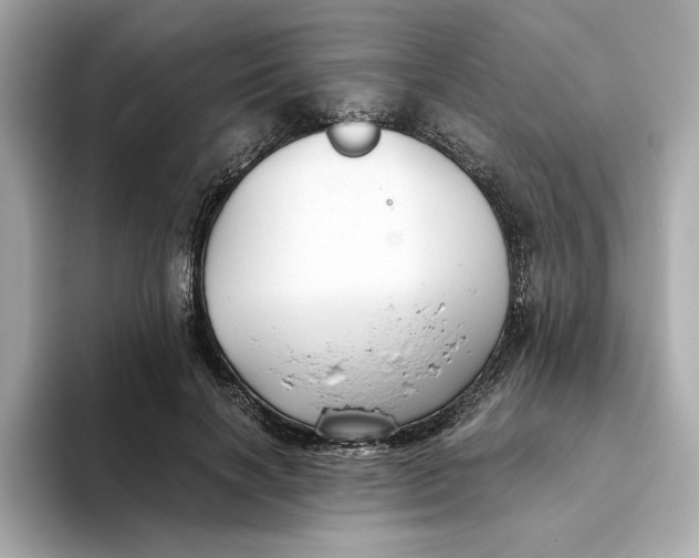 X0000093510646200711021028