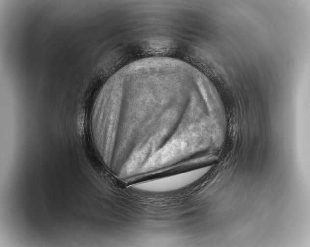 X0000093510647200711021028