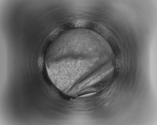 X0000093510648200711021029