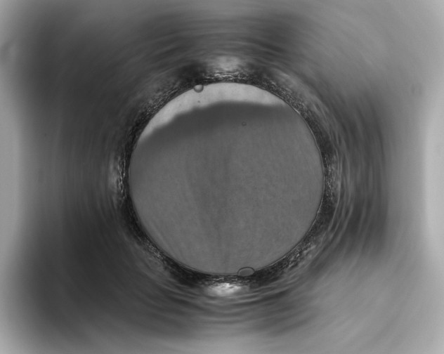 X0000093510653200711021029