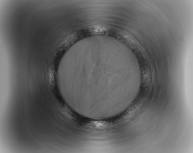 X0000093510654200711021029