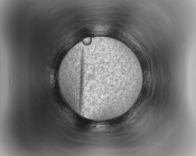 X0000093510655200711021029