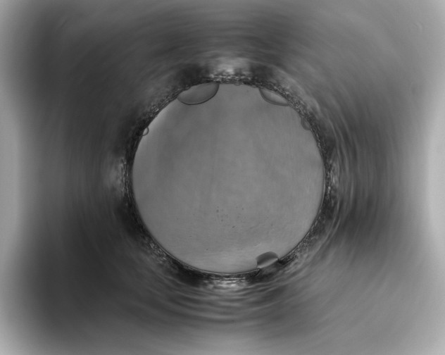 X0000093510659200711021029