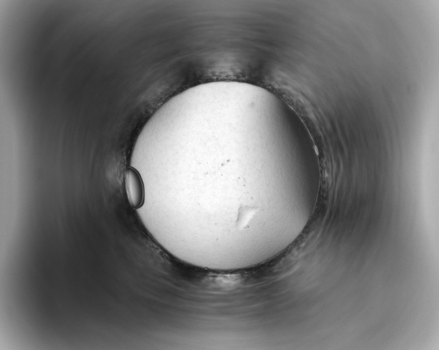 X0000093510665200711021029