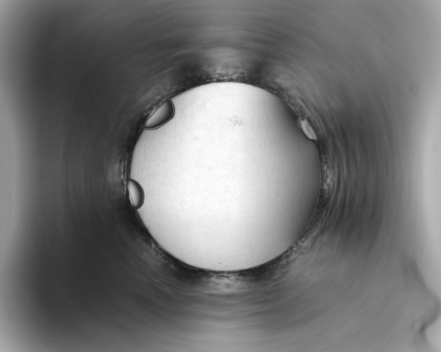 X0000093510666200711021029