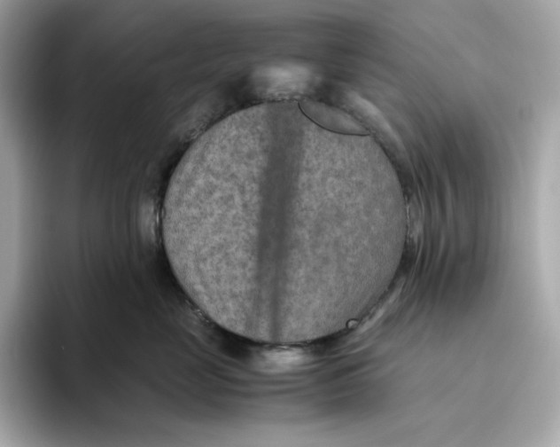 X0000093510669200711021029