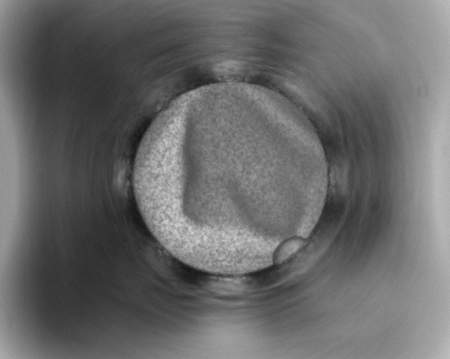 X0000093510671200711021029