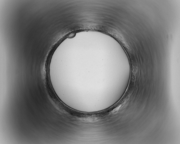 X0000093510674200711021028