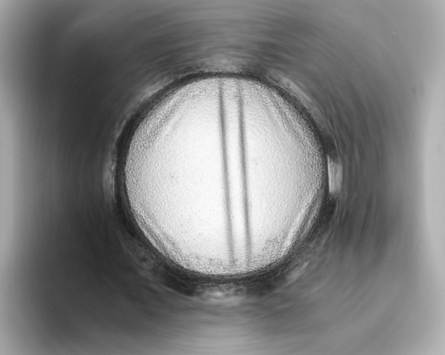 X0000093510675200711021028