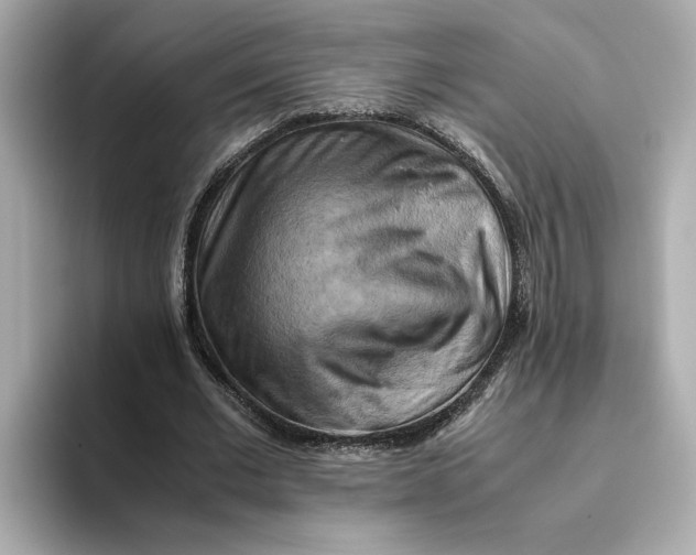 X0000093510677200711021028