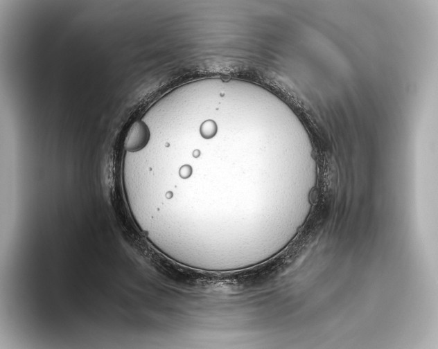 X0000093510683200711021028