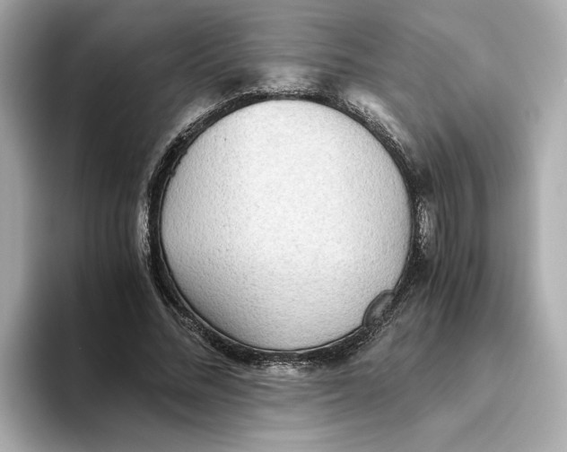 X0000093510684200711021028