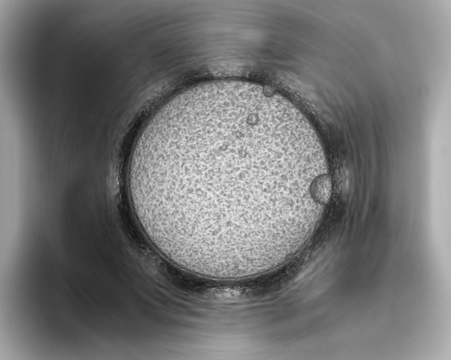 X0000093510687200711021028