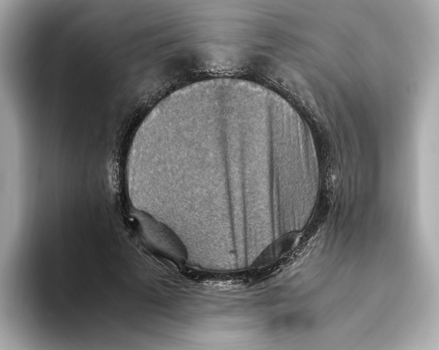 X0000093510689200711021028