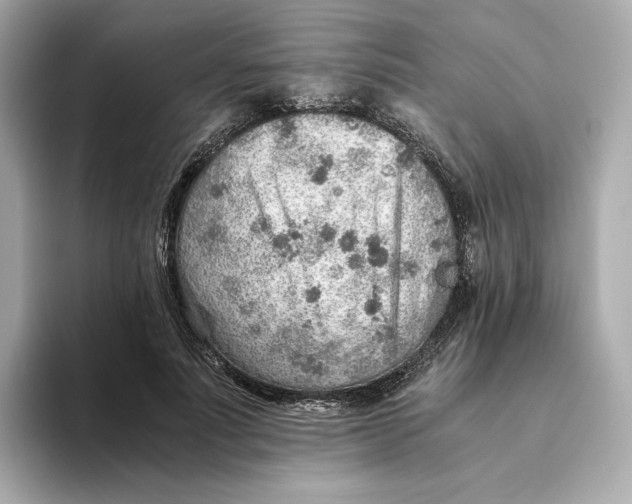 X0000093510691200711021028