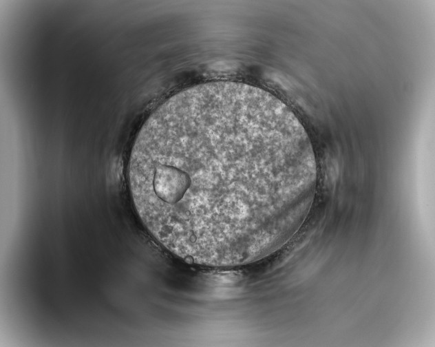 X0000093510711200711021028