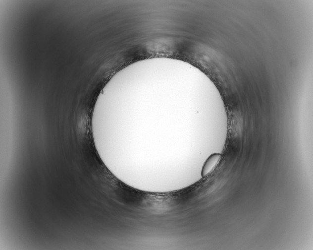 X0000093510713200711021028