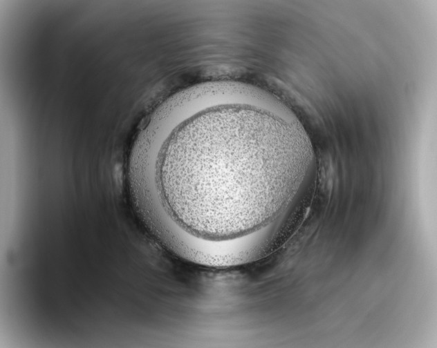 X0000093510716200711021028