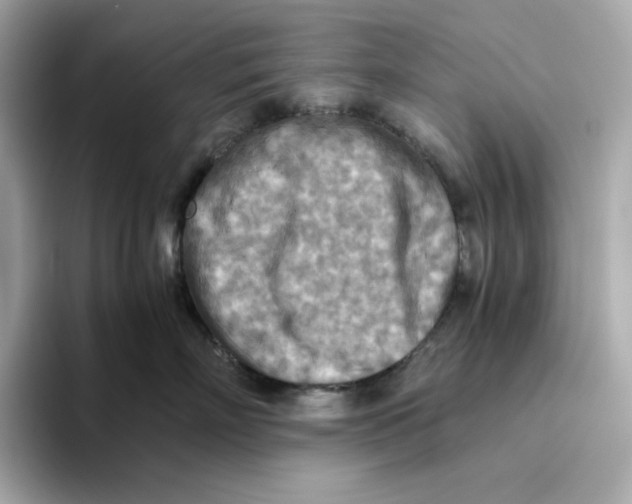 X0000093510718200711021028